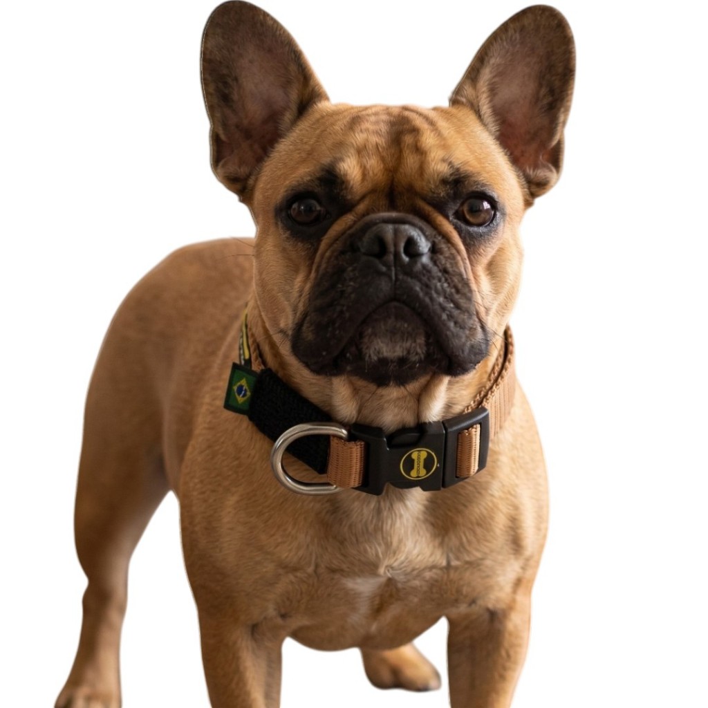 Coleira Pug Pequena Bege Cores Cachorro Porte Salsicha Amorosso Colar Pet Dog