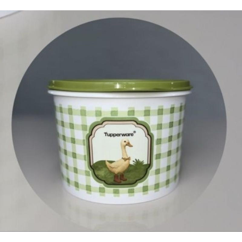 Tupper Caixa Patinho DA Roça Tupperware