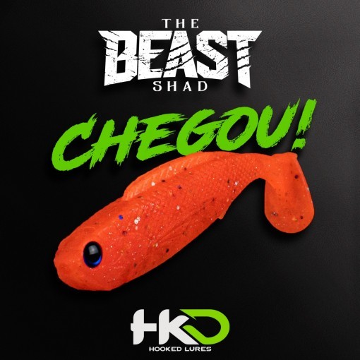 Isca Artificial HKD Beast Shad 105 10.5cm 10g- 2 UNIDADES