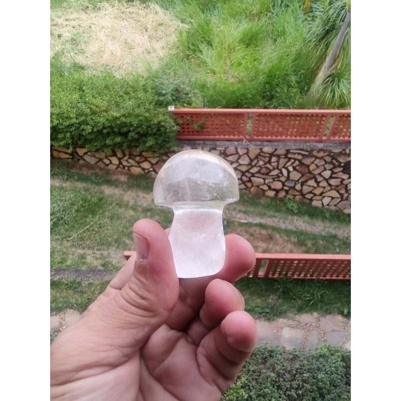 Cristal Branco Príncipe extra – cogumelos extras, 10/20 Gr. Extra.