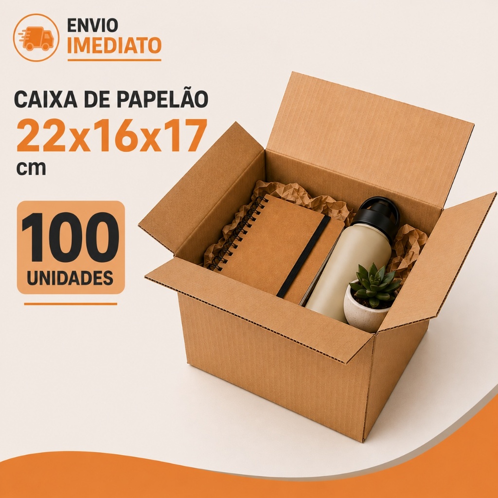  100 Caixas de Papelão E-commerce 22x16x17 cm