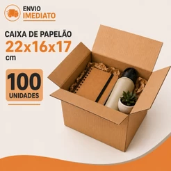 100 Caixas de Papelão E-commerce 22x16x17 cm