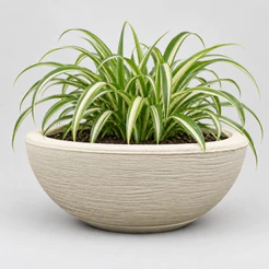 Vaso de Planta Bacia Com Prato (34x13) Polietileno Decorativo Rosa do Deserto Orquidea