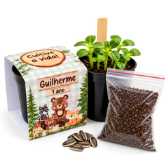 Lembrancinha Para Plantar Personalizada Kit Plantio Bosque Encantado Lembrancinha Ecológica Aniversário