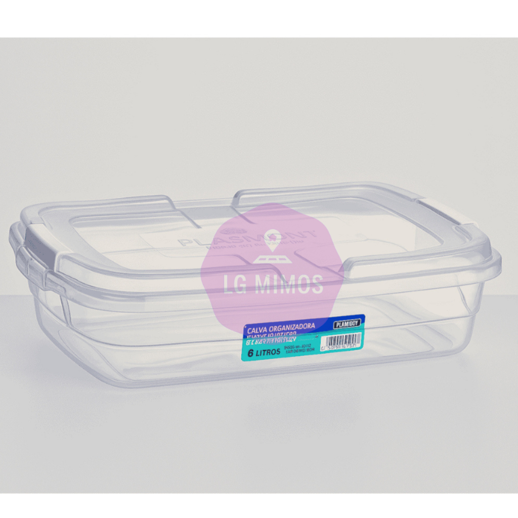 Kit Caixa Organizadora Transparente 6 Litros Com tampa e Travas