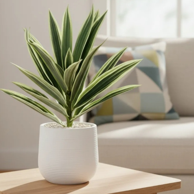 Planta Artificial Yucca 25cm Decoração Sala Jardim Planta Decorativa Sem Vaso em Oferta na Shopee
