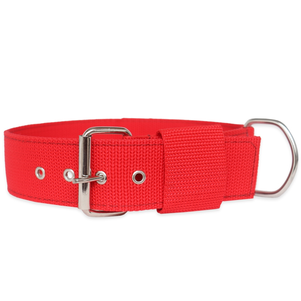 Coleira Nylon Dupla Grande Porte Para Cachorros Pit Bull Pastor Raças Grandes Envio Imediato Alta Resistência
