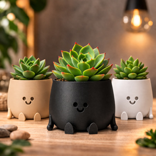 Vaso Suculenta Decorativo com Sorriso | Mini Vaso Fofo para Plantas Pequenas e Decoração em Oferta na Shopee