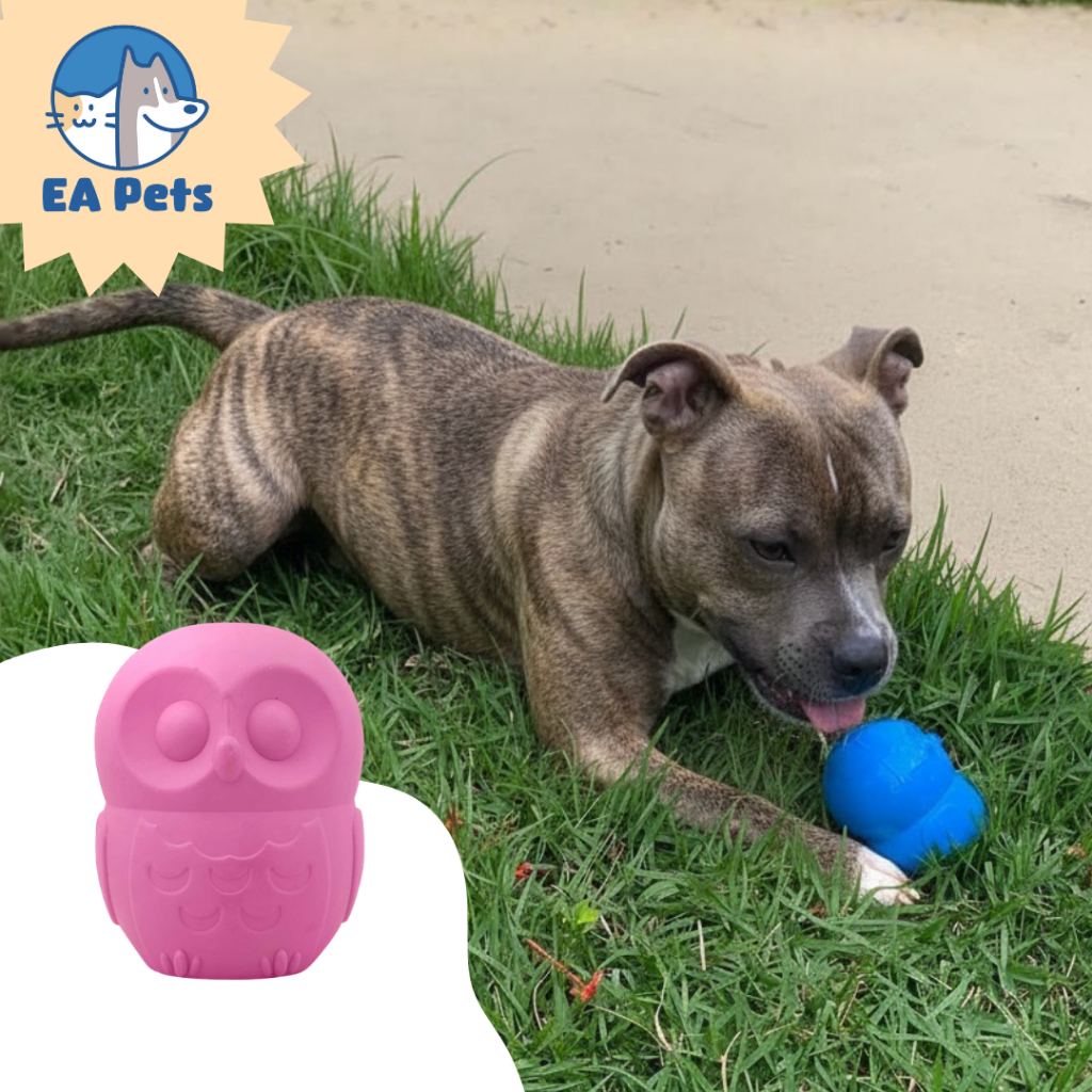 Mordedor Recheável da Pet Games Corujinha Brinquedo Super Resistente E Durável Para Cão Cachorro