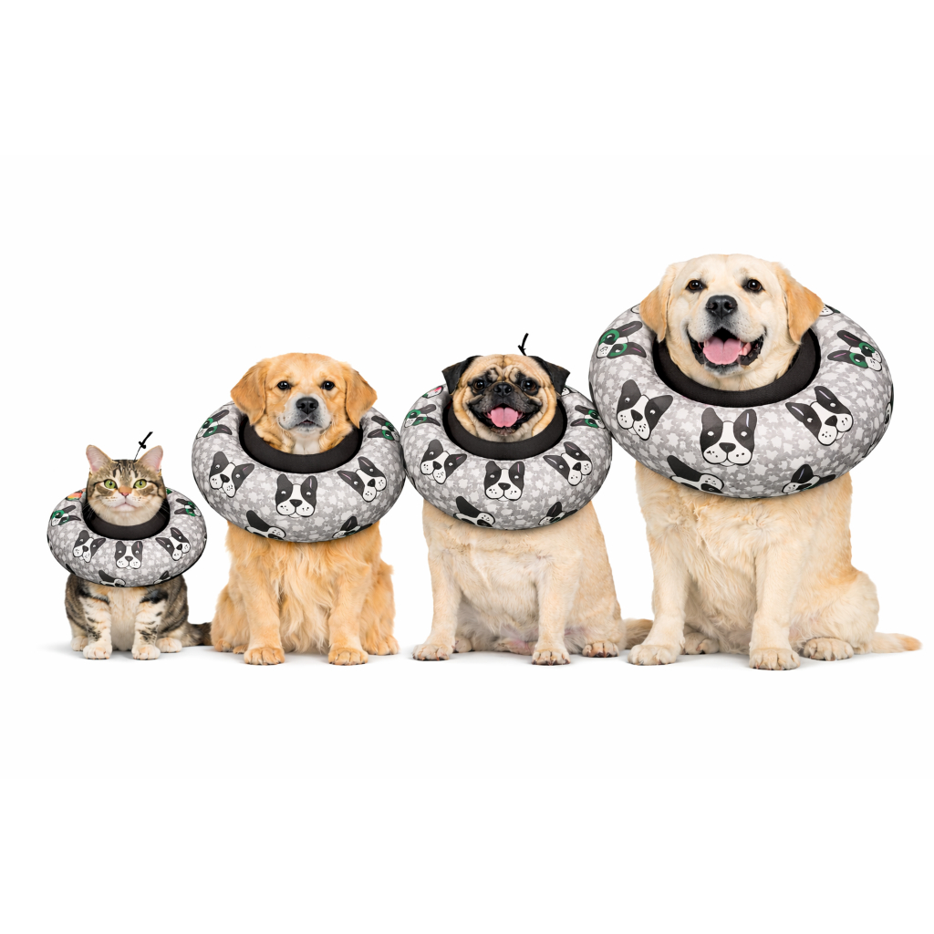 COLAR ELIZABETANO ALMOFADADO CONFORTAVEL FOFINHO BULLDOG CINZA PARA GATOS E CAES