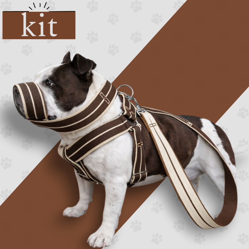 Kit  Pet Passeio Seguro Peitoral Reforçado Guia Focinheira Ajustável Premium Pit Bull