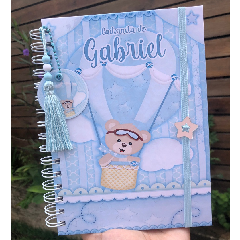 Caderneta de Saúde Infantil Personalizada A5 | SUS Atualizado | Capa Dura | Ursinho Baloeiro (m2)