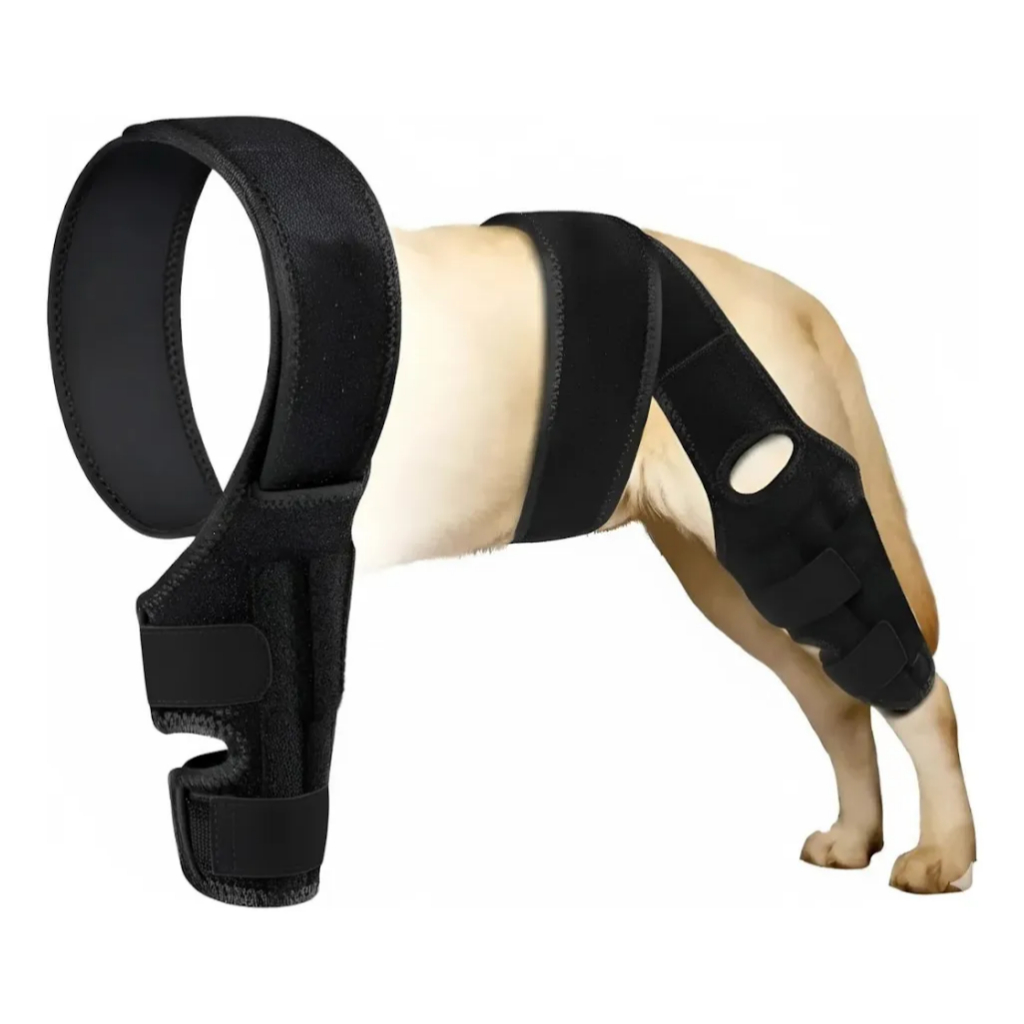 Joelheira ACL para pernas traseiras de cães, suporte CCL para cães perna traseira, melhor recuperação para lesões