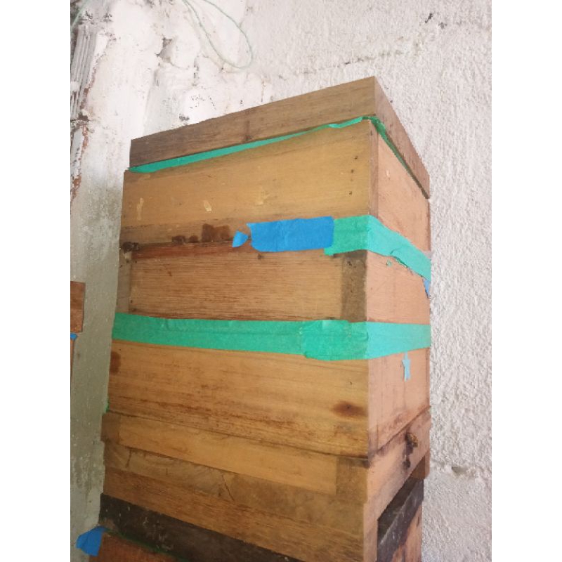 Caixa Colmeia para Abelhas Nativas Uruçu amarela (Vazia / Com Atrativo Natural) INPA