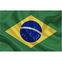 Bandeira Do Brasil Oficial 60x90cm Decoração Copa Eventos Torcedor