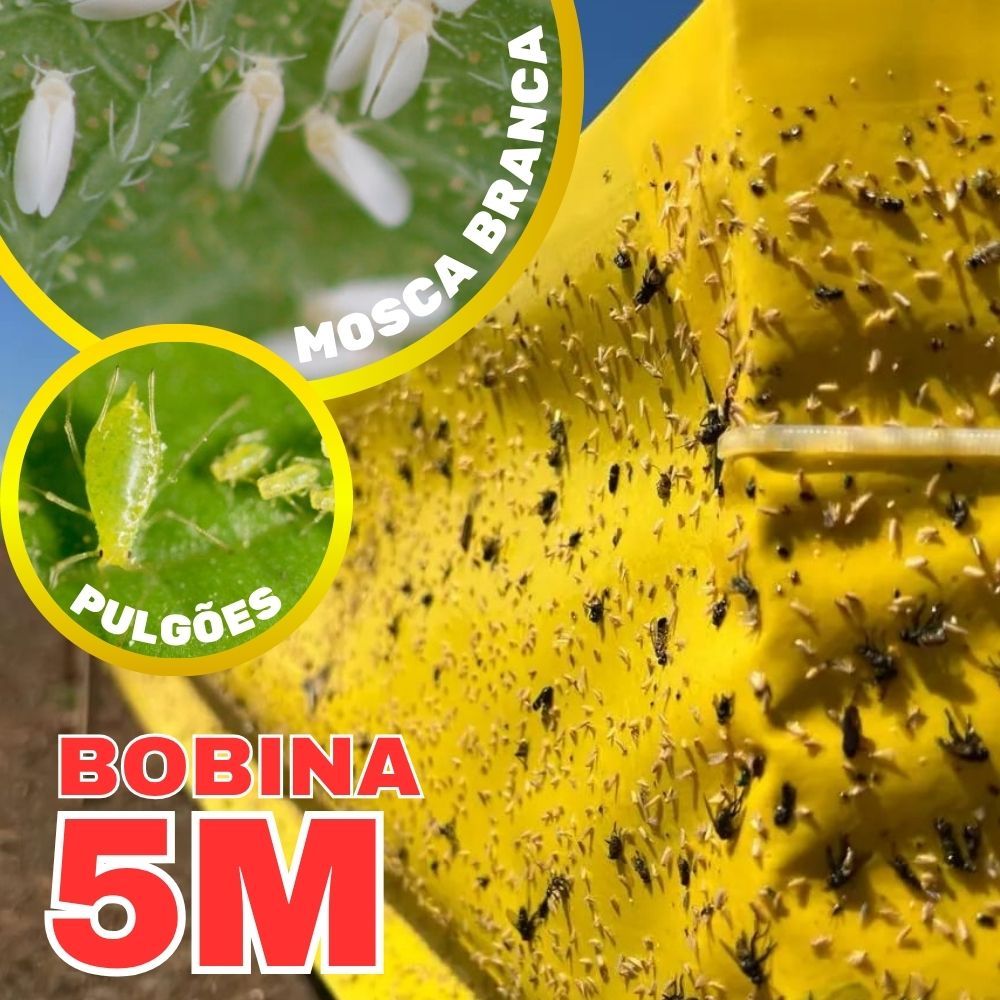 Cola Bobina Amarela 5m para Monitoramento de Mosca Branca e Pulgões