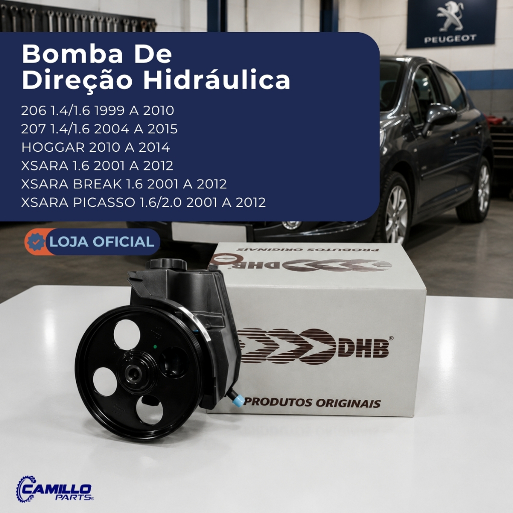 Bomba Direção Hidráulica Peugeot 206 207 Hoggar Citroën Xsara Picasso DHB