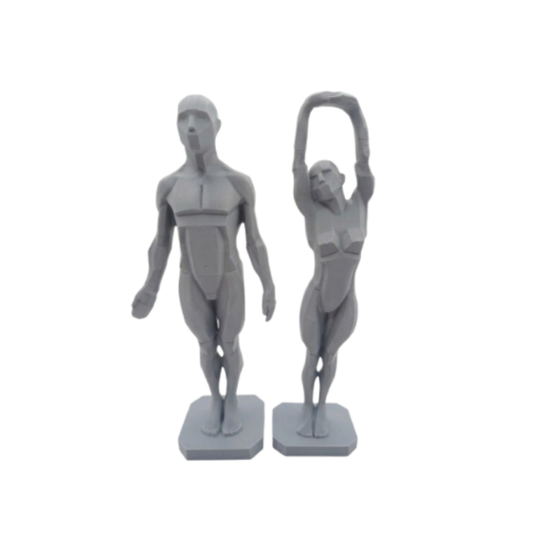 Kit Corpo Masculino e Feminino | Planes of the Body | Modelo de Estudo Artístico 3D