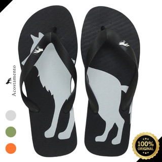 Chinelo Acostamento Masculino Casual Estampa Lobo Grande Clássico Tradicional Original