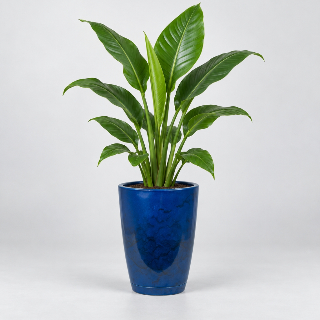 Vaso Decorativo Coluna bojo para Plantas Polietileno Luxo Marmorizado N1 com Prato