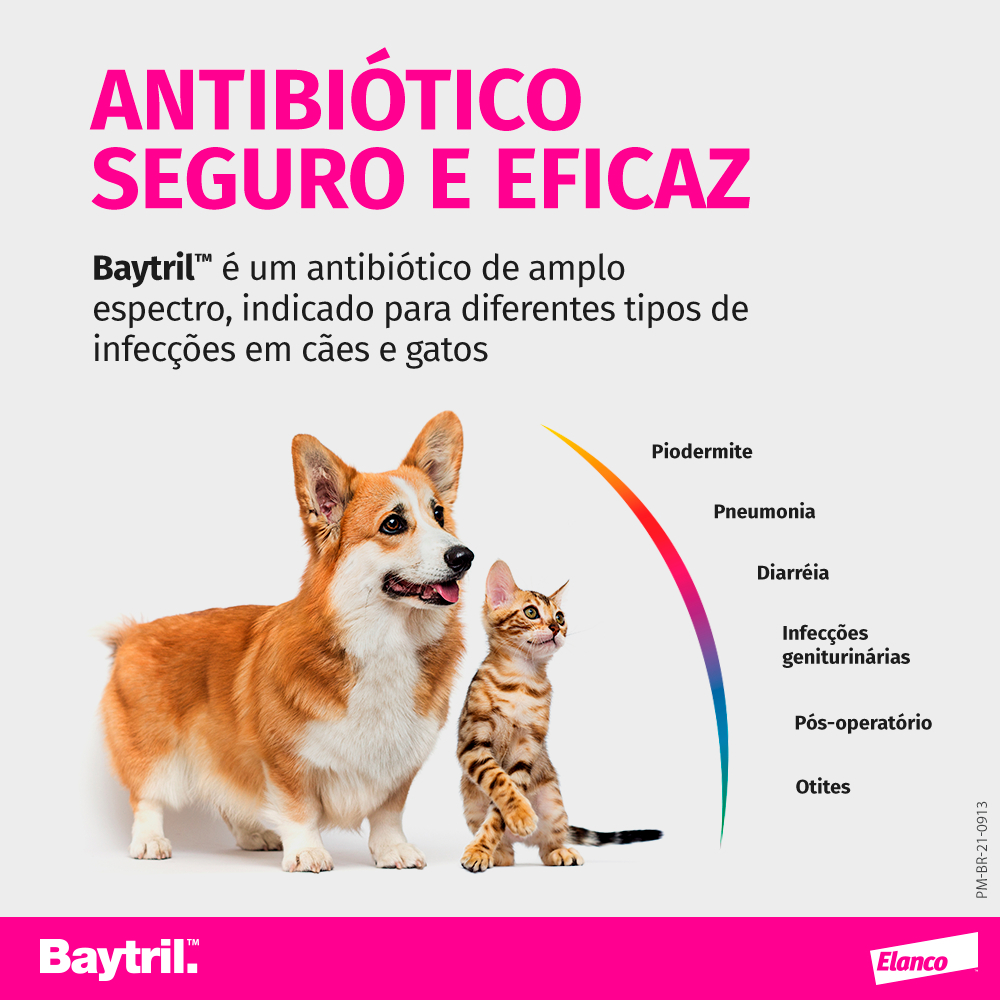 Antibiótico Baytril Flavour 15 mg com 10 comprimidos para cães e gatos - Elanco — imagem 2 de 2
