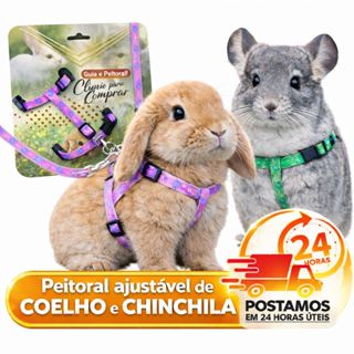 Coleira Guia com Peitoral Ajustável e Estampado Para Coelhos e Chinchilas 🐰🐭 em Oferta na Shopee