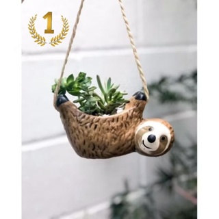 Vaso Bicho Preguiça  para suculentas ( cerâmica) sem arranjos! em Oferta na Shopee