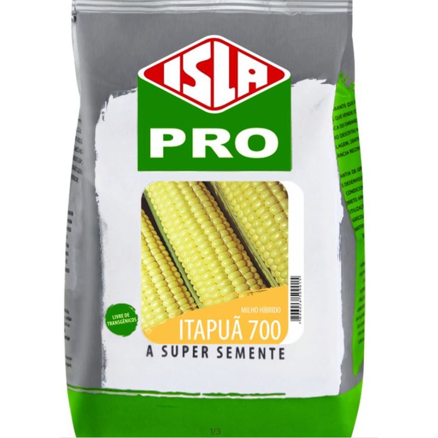 4.000 Sementes De Milho Vede Híbrido Itapuã 500g