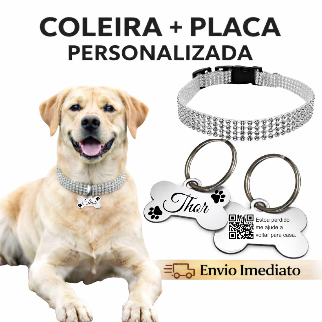 Kit Coleira Pet Cachorro Plaquinha Personalizada QR Code Nome Identificação Strass Pingente Argola