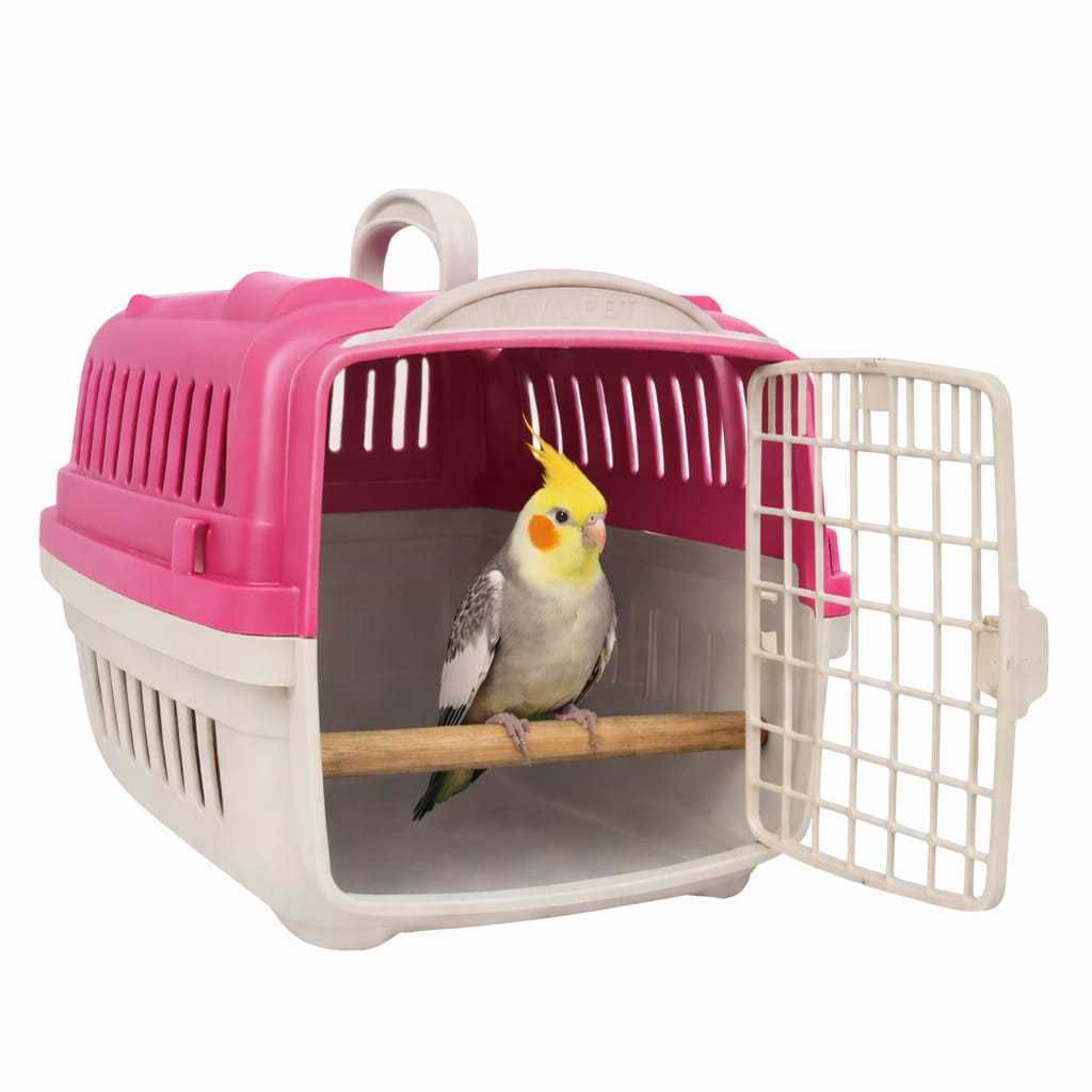 Transporte com Poleiro Inteiro  para Calopsita e Periquitos Agapornis e outros pássaros PROMOÇÃO ENVIO IMEDIATO