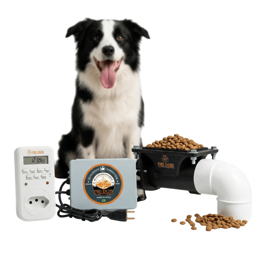 Dispensador Automático de Ração para Cachorro Cavalo Galinha Peixe com Timer Digital Bivolt