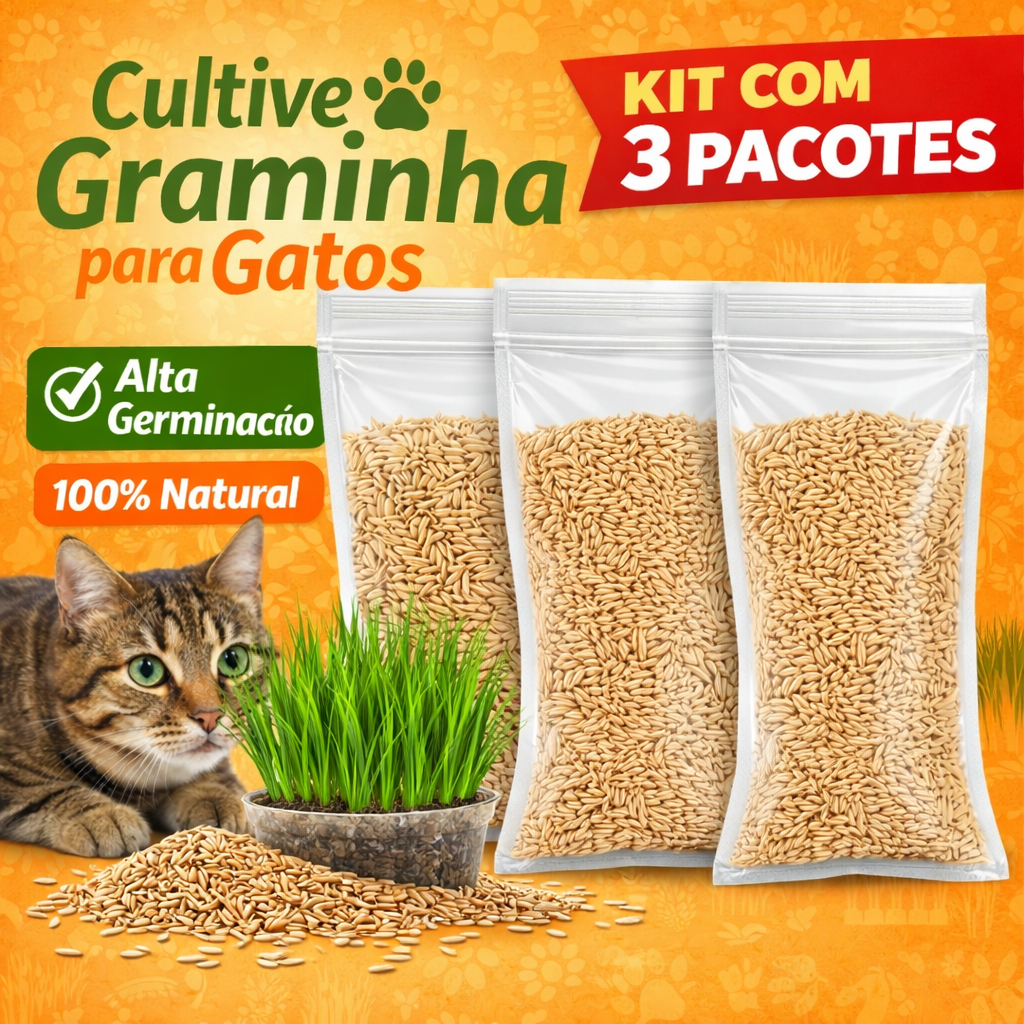 Kit 3 Semente para Gatos – Natural, Crescimento Rápido, Anti Bola de Pelo e Alta Qualidade