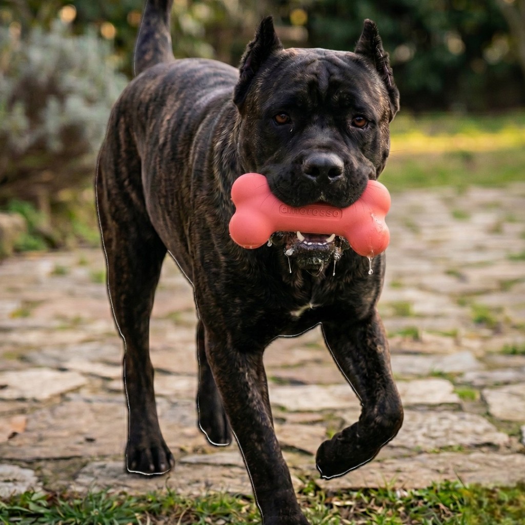 Mordedor Osso Rosa Cachorro G Pit Bull Terrier Americano Cão American Bully Monster Rottweiler Alemão Pastor Alemão Capa