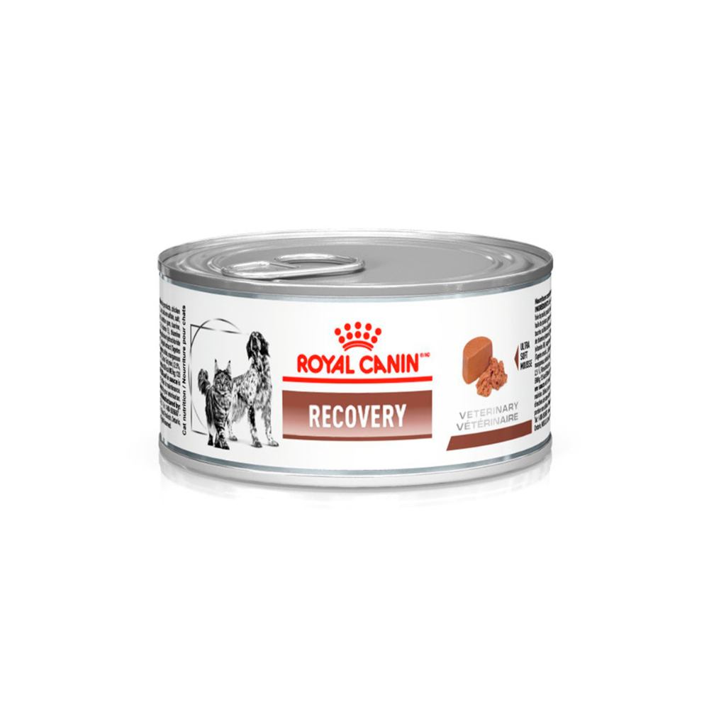 Ração Úmida Lata Veterinary Diet Recovery para Cães e Gatos em Recuperação 195g Royal Canin