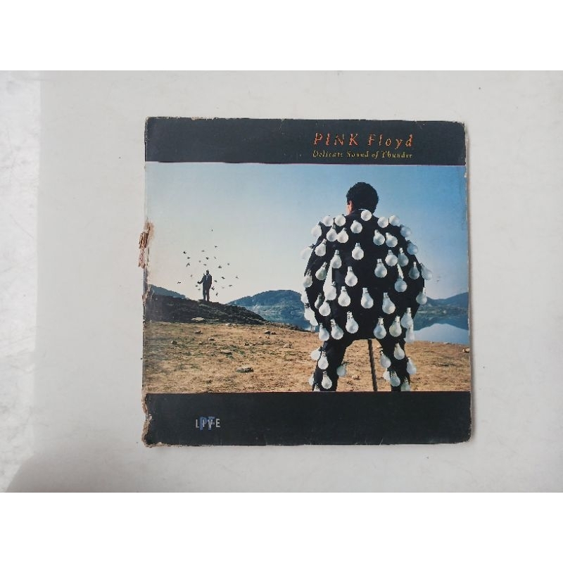 Pink Floyd Delicate Sound Of Thunder duplo leia o anúncio e veja as fotos