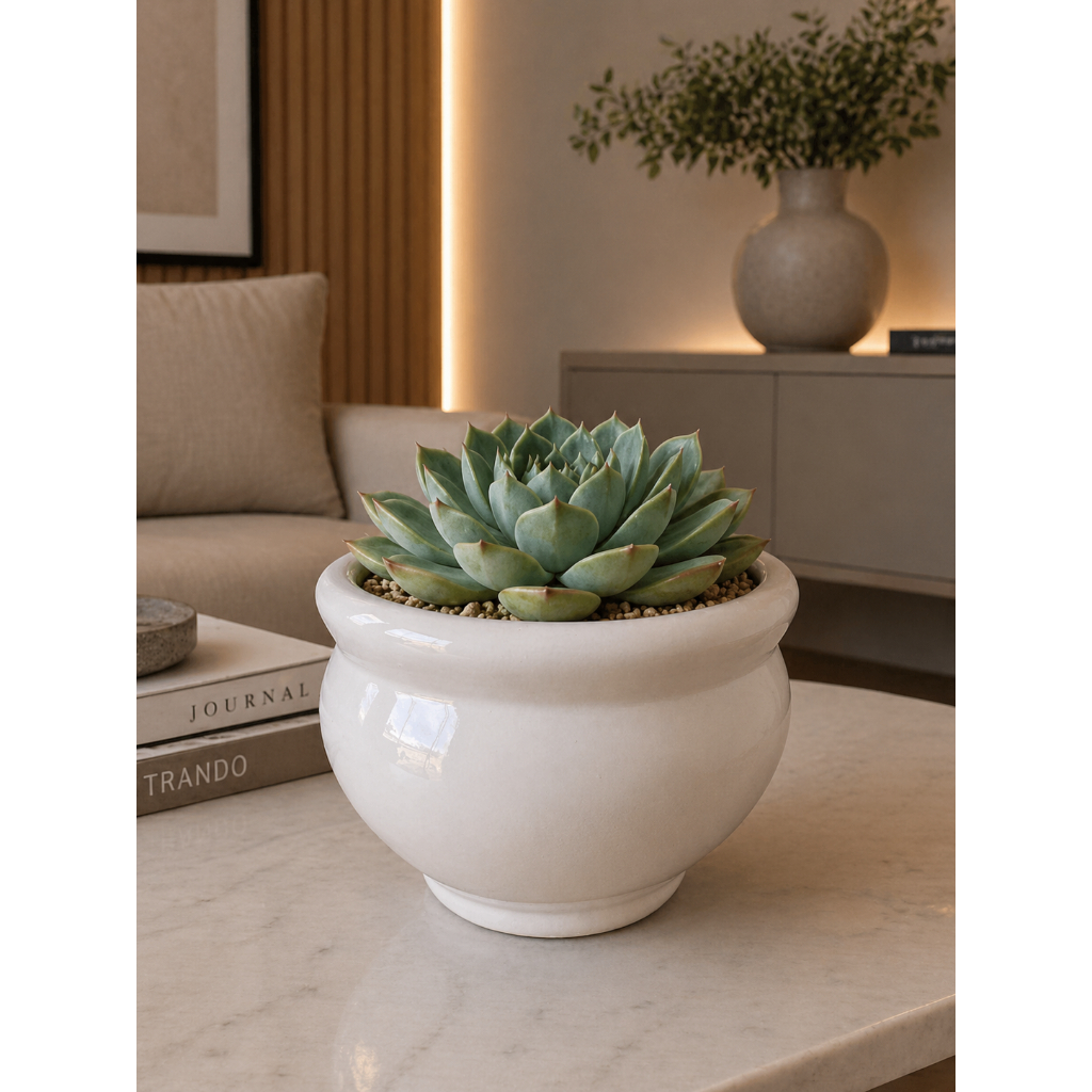 Vaso Cachepot branco Redondo Liso Esmaltado Cerâmica Decorativo Suculenta Violeta