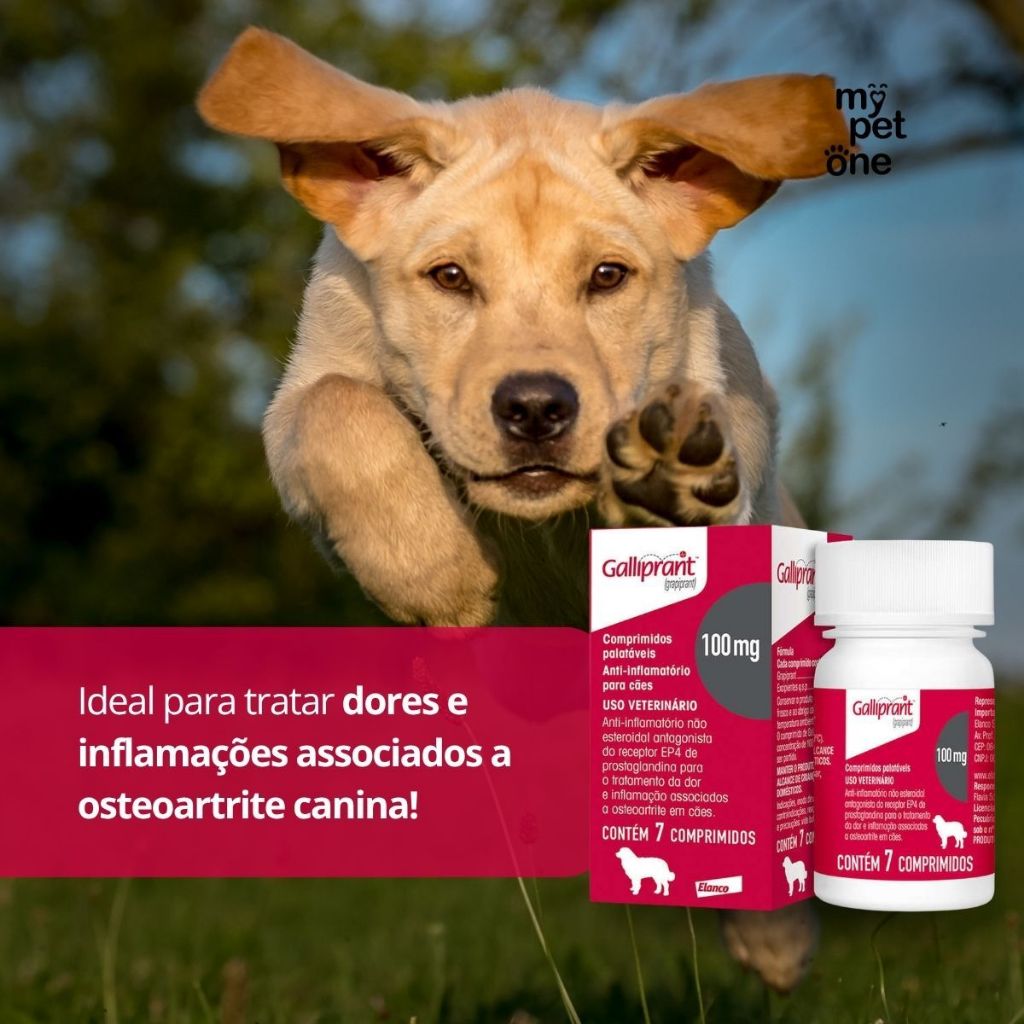 Galliprant 100 mg Elanco para Cães - 7 Comprimidos — imagem 2 de 2