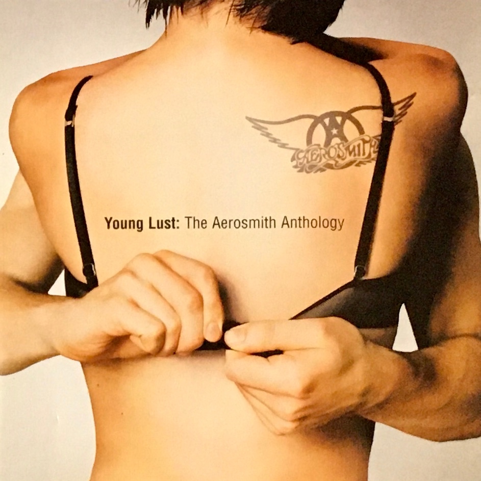 Young Lust: The Aerosmith Anthology (cd duplo)