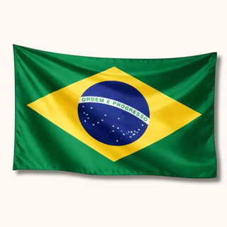Bandeira Do Brasil 0,70x0,50 Copa Do Mundo Futebol Torcida Parede Janela Bibi