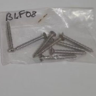 Parafusos 8 inox especiais para fixar a contra-porta na porta frontal da lava-louças BLF08
