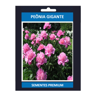 Cultivo simples 100 sementes Da Flor Peonia Gigante! Premium