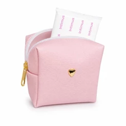 bolsa nécessaire guarda absorvente treco