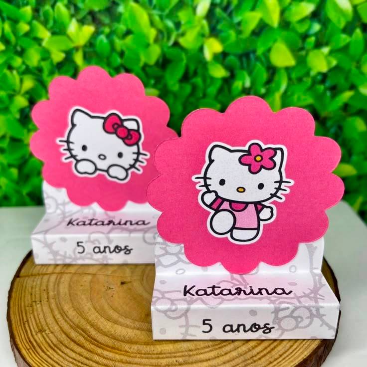 Porta Bis duplo personalizado Diversos Temas PEGUE E MONTE - Lembrancinha de aniversário Infantil