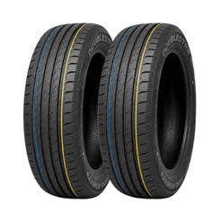 Kit 2 Pneus 205/55R16 91V Doublestar 16