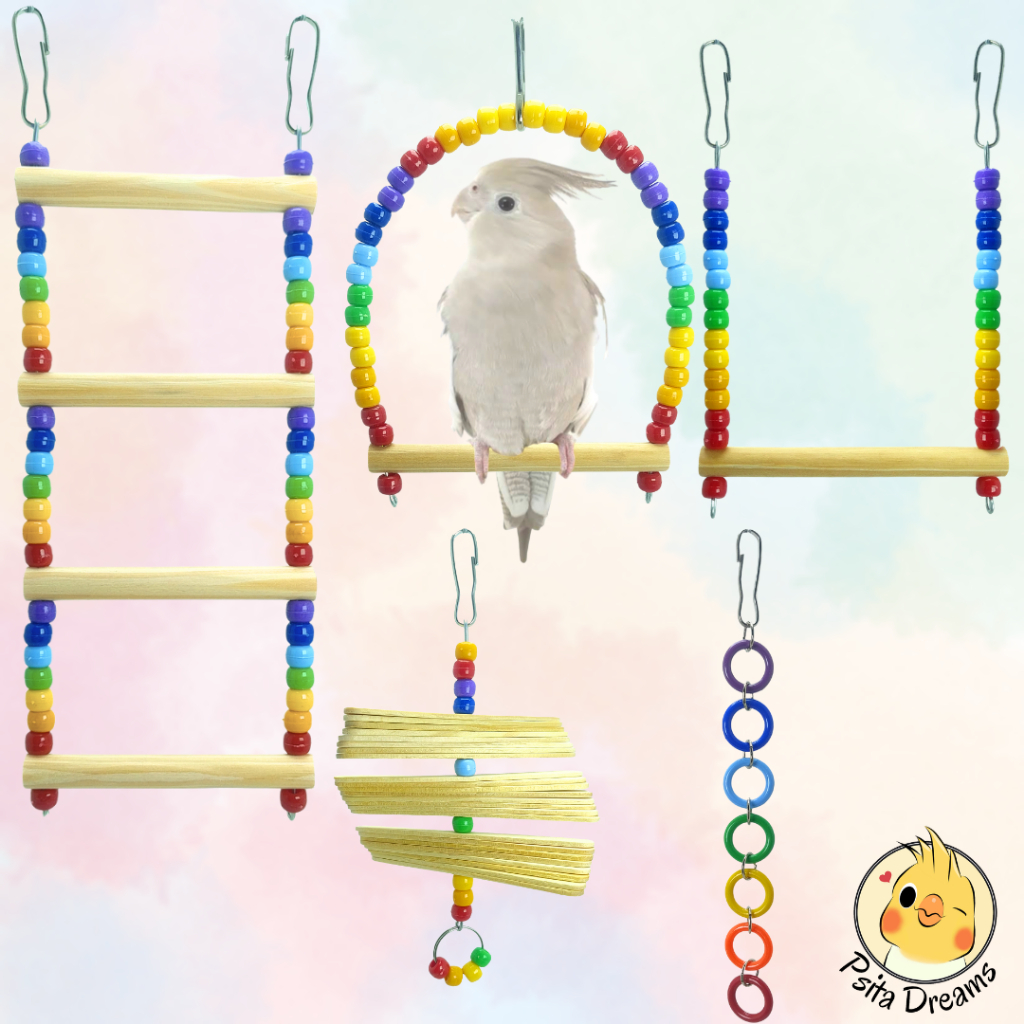 Kit Brinquedos Arco-Íris, calopsita, agapornis, periquito, aves, acessórios para gaiola, poleiro, escada, balanço