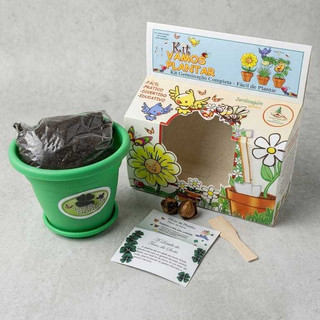 Kit Vamos Plantar Trevo