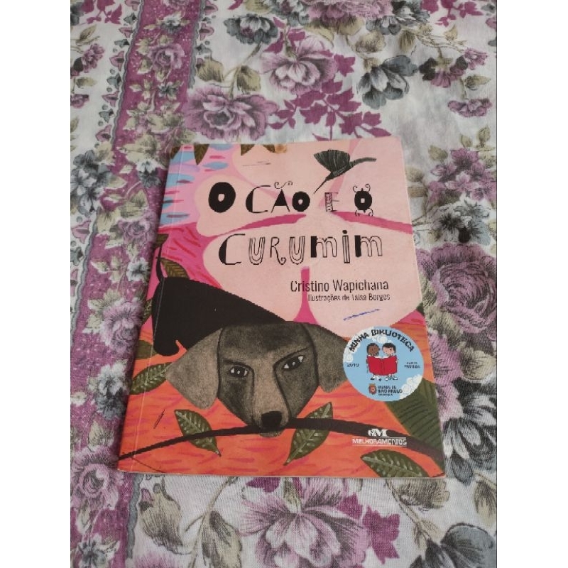 Livro O cão e o curumim Cristino Wapichana
