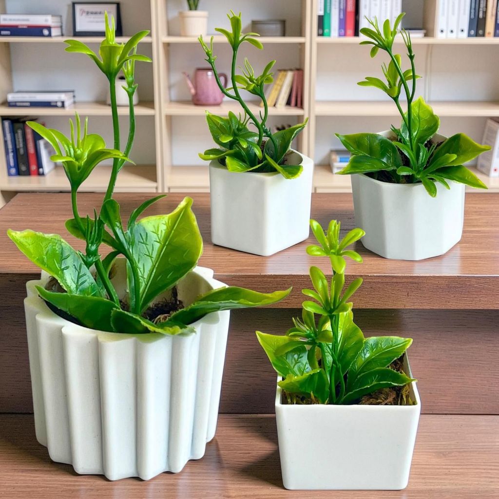 Kit 4 Vasos com Musgo Verde - Enfeite de Mesa ou Prateleira em Oferta na Shopee