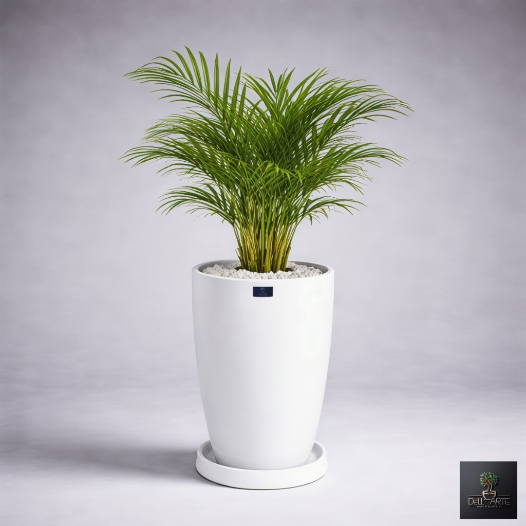Dell’Arte Eleganza Vaso Decorativo Luxo em Fibra de Vidro Estilo Vietnamita Branco Brilhante Premium