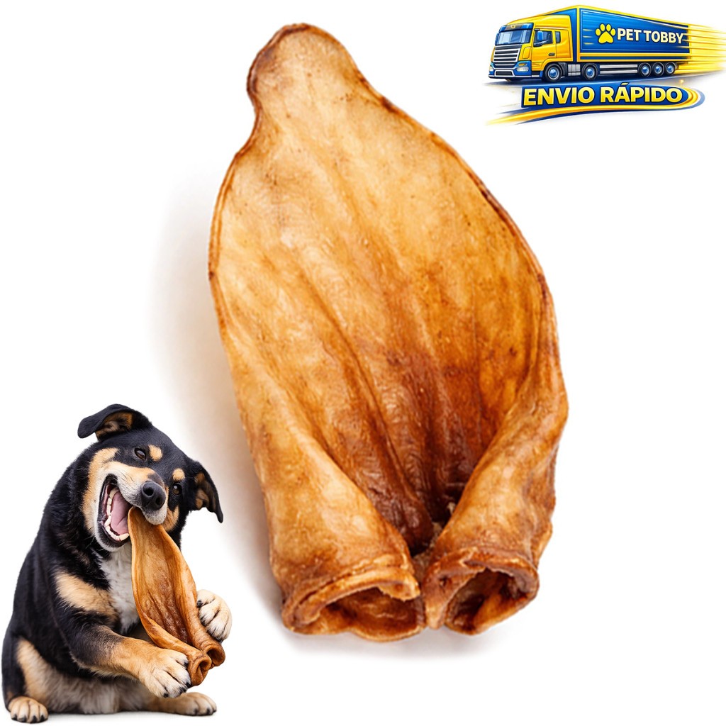 Kit Mordedor Orelha Bovina Natural Desidratada Para Cachorro Petisco Pet Até 15un